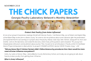 The Chick Papers