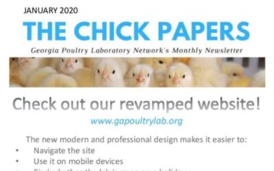 The Chick Papers