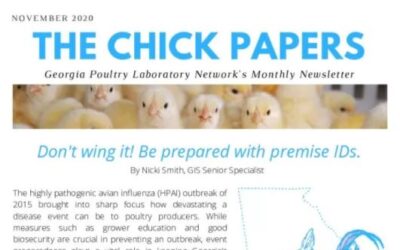 The Chick Papers