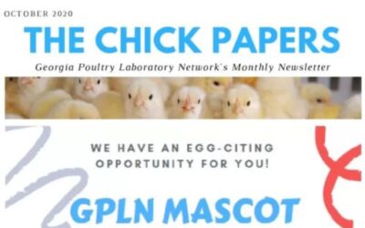 The Chick Papers