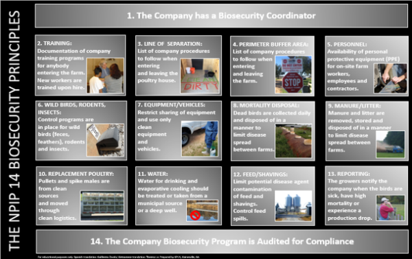 Poster- Biosecurity Principles (English/ Vietnamese)