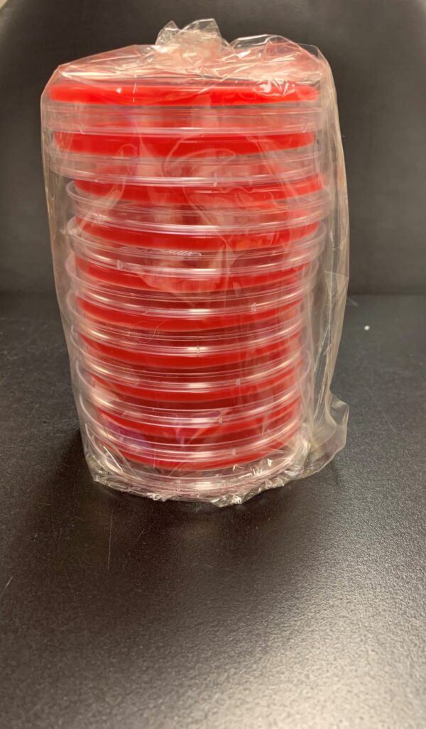 Blood Agar Plates  (LOCAL ONLY)