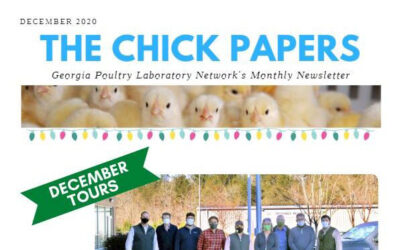 The Chick Papers