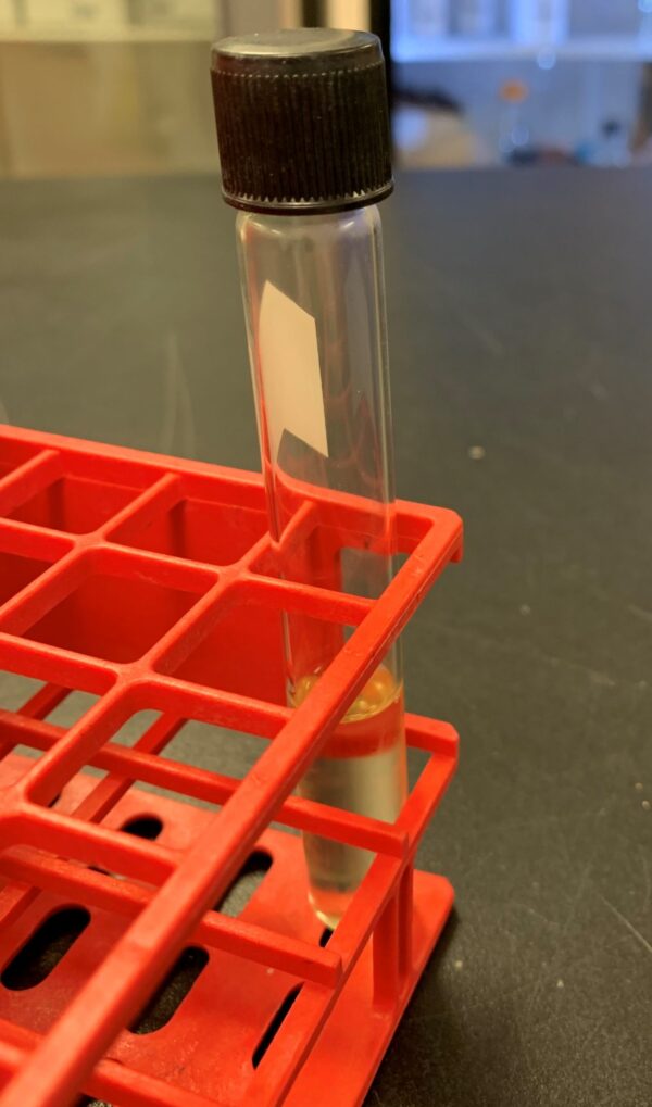 Nutrient Broth, 7mL