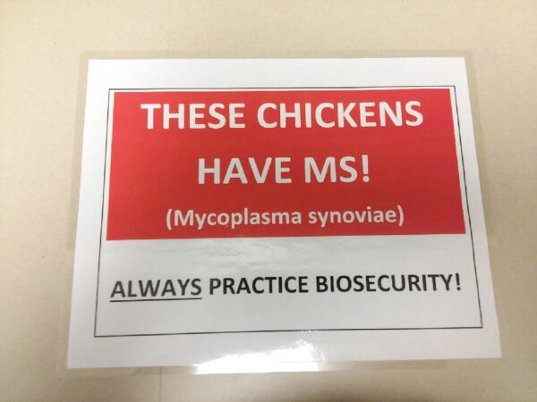Sign- MS+ Birds Notice