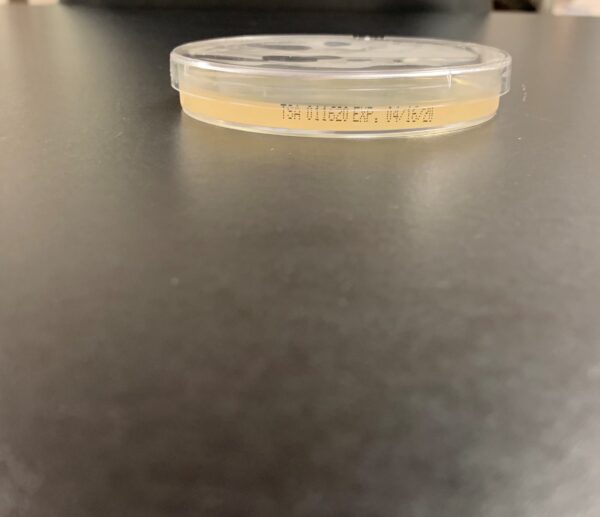 Tryptic Soy Agar Plates (TSA) - LOCAL ONLY