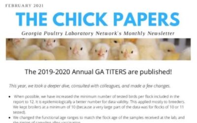 The Chick Papers