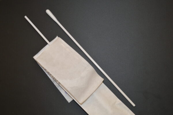 Polyester-Tipped Swabs (plastic handle) - Image 2