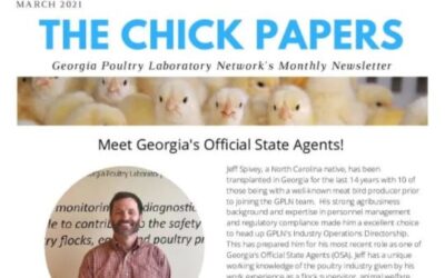 The Chick Papers