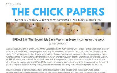 The Chick Papers