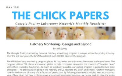 The Chick Papers