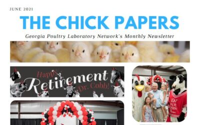 The Chick Papers