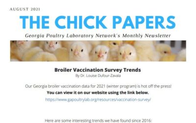 The Chick Papers