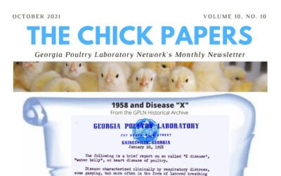 The Chick Papers