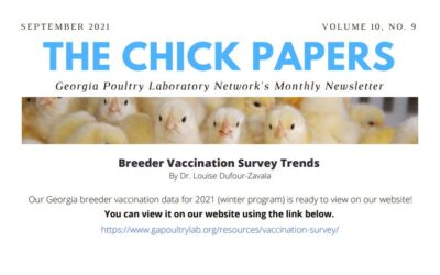 The Chick Papers