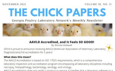 The Chick Papers