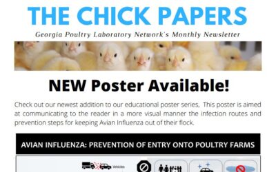 The Chick Papers