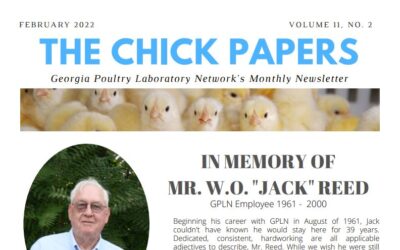 The Chick Papers