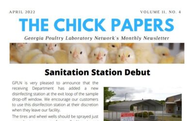 The Chick Papers