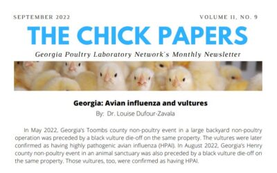 The Chick Papers