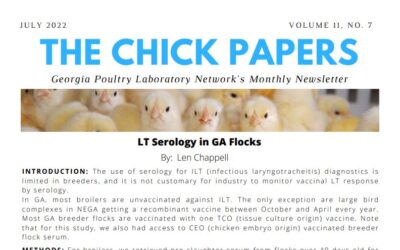 The Chick Papers