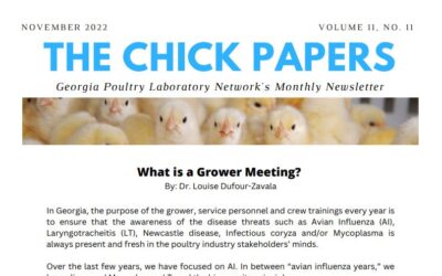 The Chick Papers