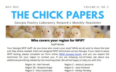 The Chick Papers