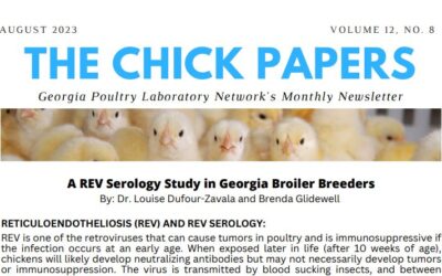 The Chick Papers