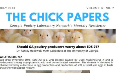 The Chick Papers