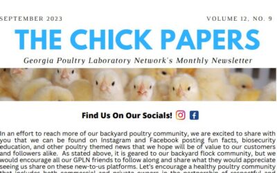 The Chick Papers