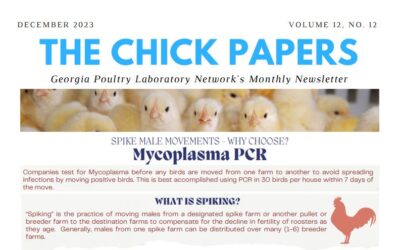 The Chick Papers