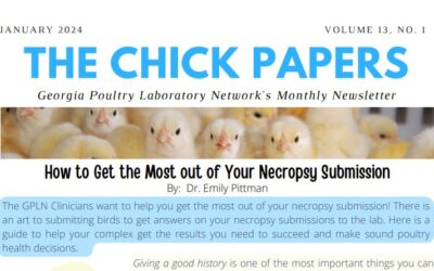 The Chick Papers