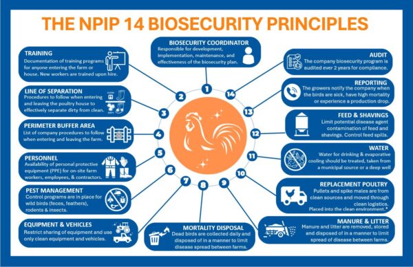 Poster- NEW DESIGN Biosecurity Principles (English/ Vietnamese) - Image 2