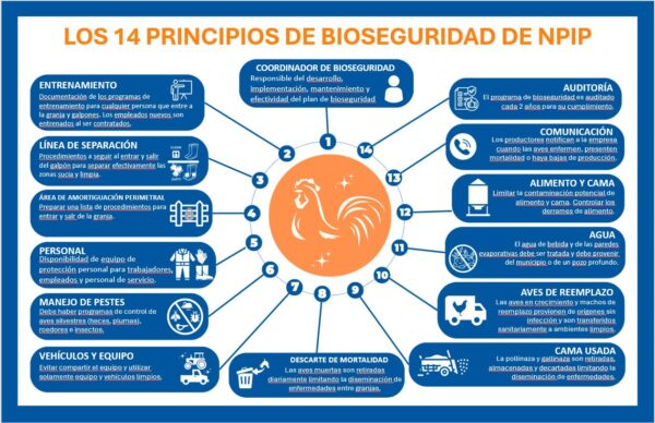 Poster- NEW DESIGN Biosecurity Principles (English/ Spanish)