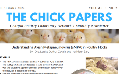 The Chick Papers