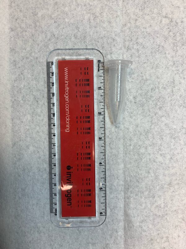 Siliconized Bullet Tubes, 5mL - Image 2