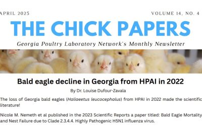 The Chick Papers