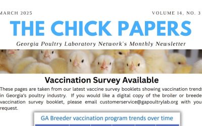 The Chick Papers