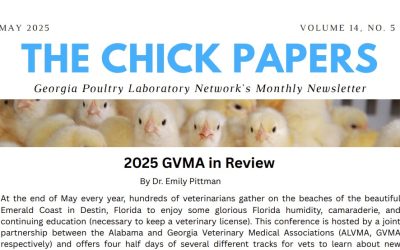 The Chick Papers