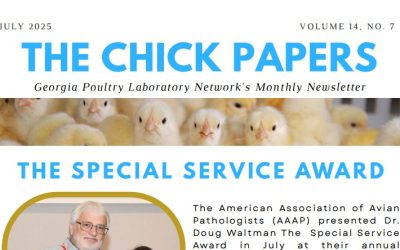 The Chick Papers