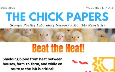 The Chick Papers