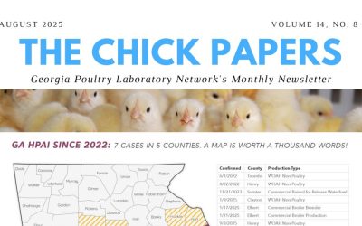 The Chick Papers