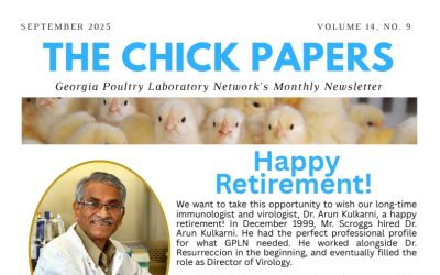 The Chick Papers