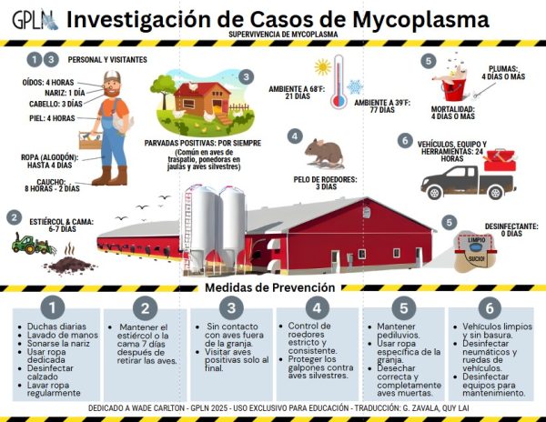 POSTER - Mycoplasma Investigation Scene (ENGLISH/ SPANISH) - Image 3