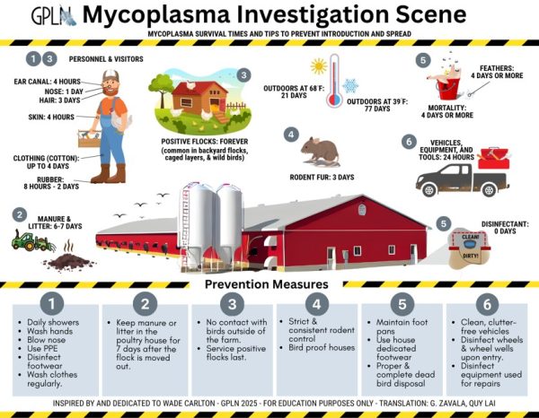 POSTER - Mycoplasma Investigation Scene (ENGLISH/ SPANISH)