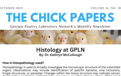 The Chick Papers