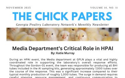 The Chick Papers