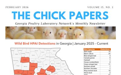The Chick Papers
