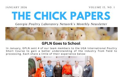 The Chick Papers